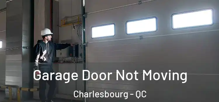  Garage Door Not Moving Charlesbourg - QC