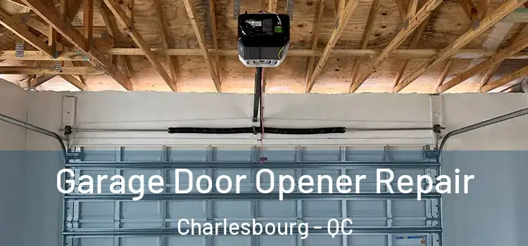  Garage Door Opener Repair Charlesbourg - QC